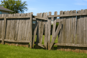 "rotting wooden fence needing replacement" 