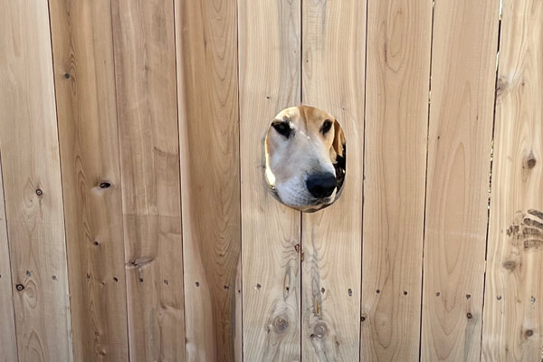 Dog Run Installation Steadfast Fence