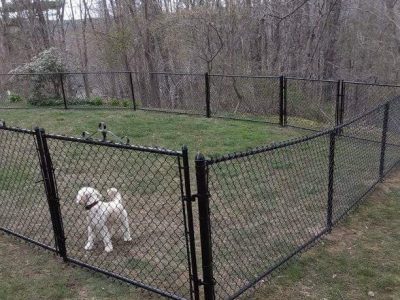 Dog Run Installation | Steadfast Fence